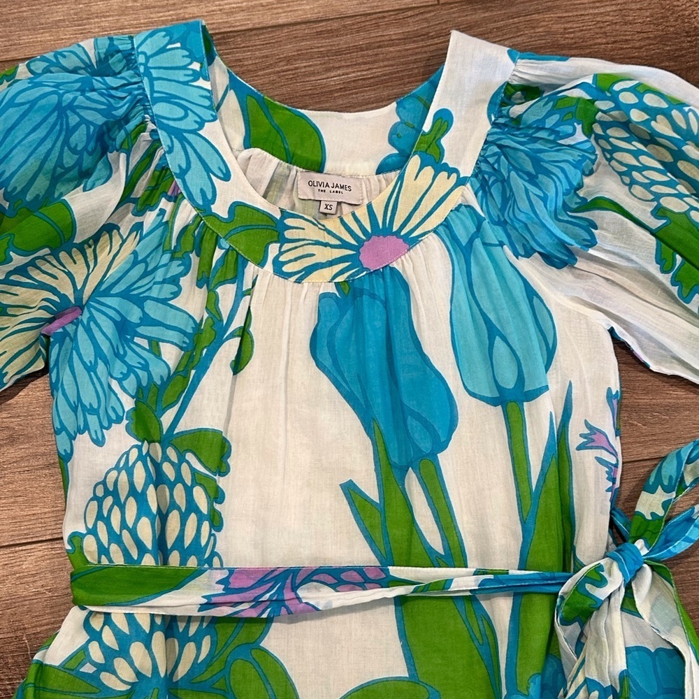 Olivia James The Label Anna Dress in Mod Floral Aqua XS - Picture 6 of 11